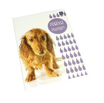 Zeszyt A5 16 kartek w 3 linie Interdruk