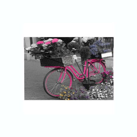Teczka kopertowa na zatrzask Panta Plast Bike A4