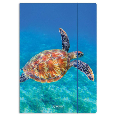 Teczka z gumką A4 Herlitz Animals Zwierzęta