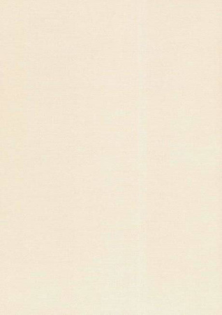 Papier wizytówkowy A4 ecru siatka 250g W10 Kreska