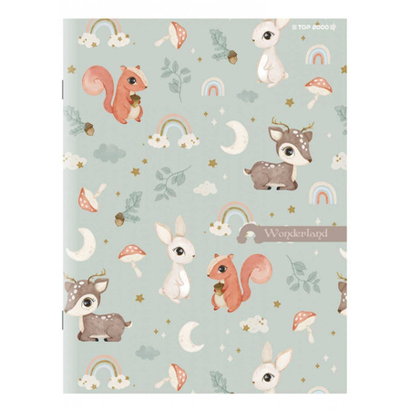 Zeszyt A5 w kolorową kratke 16 kartek Megamix Top 2000