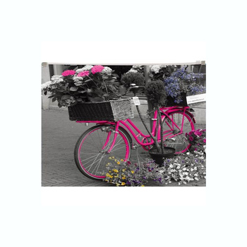 Teczka kopertowa na suwak Panta Plast Bike A4