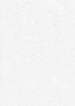 Papier wizytówkowy A4 biały tapeta 246g W04 Kreska