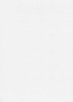 Papier wizytówkowy A4 biały skórka 246g W06 Kreska