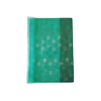 Okładka na zeszyt Panta Plast A5 hologramowa zielony