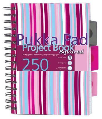 Kołozeszyt A5 w kratkę 250 stron Pukka Pad Project Book Stripes
