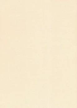 Papier wizytówkowy A4 kremowy siatka 250g W11 Kreska