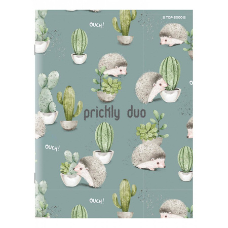 Zeszyt A5 w podwójną kolorową linie 32 kartki Megamix Top 2000