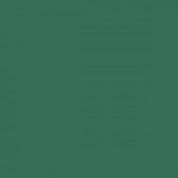 Brystol B2 zielony ciemny Kreska