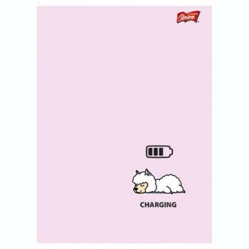 Zeszyt A5 32 kartki linia podwójna dwukolorowa Unipap Mix Pastel