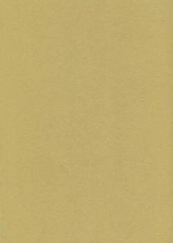 Papier wizytówkowy A4 złoty metaliczny 250g W74 Kreska