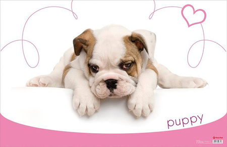 Mata na biurko dla dzieci mała dwustronna Puppy Panta Plast