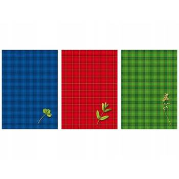 Brulion B5 160 kartek w linie Kreska