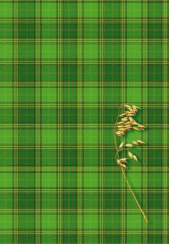 Brulion A4 160 kartek w kratkę Kreska