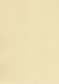 Papier wizytówkowy A4 krem piórko 220g W31 Kreska