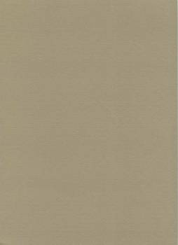 Papier wizytówkowy A4 brązowy metaliczny 220g W75 Kreska