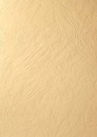 Papier wizytówkowy A4 ecru skórka 246g W63 Kreska