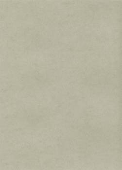 Papier wizytówkowy A4 platynowy gładki 235g W72 Kreska