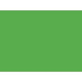 Brystol B1 zielony Kreska