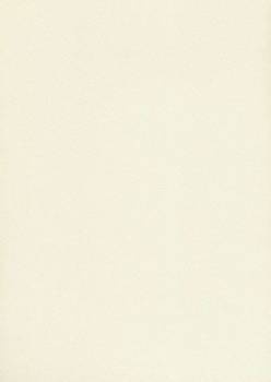 Papier wizytówkowy A4 ecru tłoczony 200g W20 Kreska