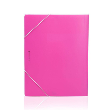 Teczka z gumką Panta Plast A4 plastikowa różowy