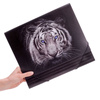 Teczka na gumkę Panta Plast Tiger A4