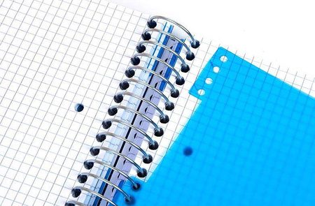 Kołonotatnik A4 150 kartek kratka Mintra Lights zielony