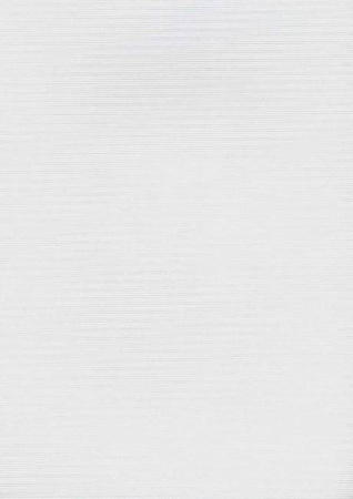 Papier wizytówkowy A4 biały linia 246g W08 Kreska