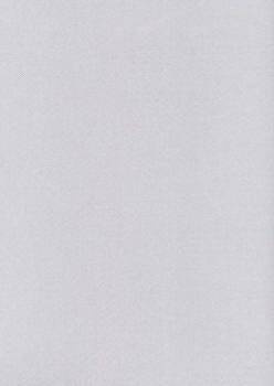 Papier wizytówkowy A4 srebrny karo 215g W55 Kreska