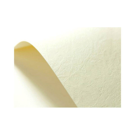 Papier wizytówkowy A4 ecru skóra 246g W87 Kreska