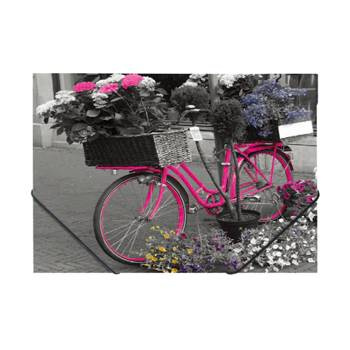 Teczka na gumkę Panta Plast Bike A4