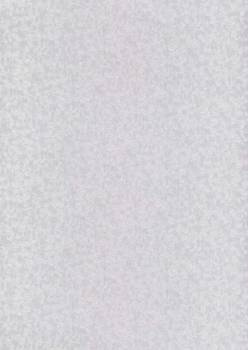 Papier wizytówkowy A4 srebrny mróz 215g W35 Kreska