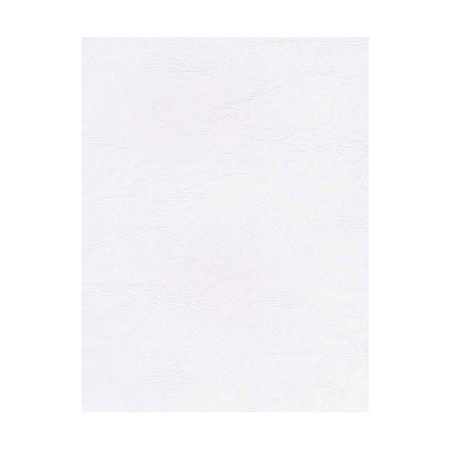 Papier wizytówkowy A4 biały skóra 246g W09 Kreska