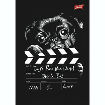 Zeszyt A5 w kratkę 60 kartek laminowany dla chłopca