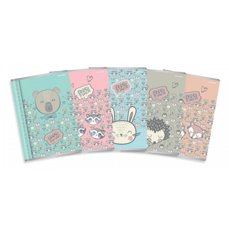 Zeszyt A5 w kolorową linie 32 kartki Friends Top 2000