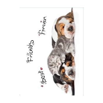 Segregtor ringowy A4 2 ringi 35mm Animals