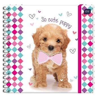 Pamiętnik na spirali Interdruk