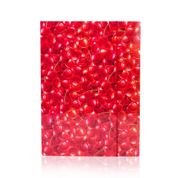 Teczka z gumką Kreska A4 OW owoce