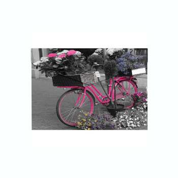 Teczka kopertowa na zatrzask Panta Plast Bike A5