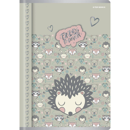 Zeszyt A5 w kratke 32 kartki Megamix Top 2000