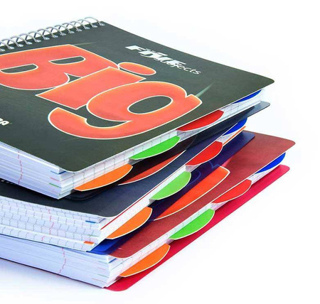 Kołonotatnik A5 160 kartek kratka Mintra Big zielony