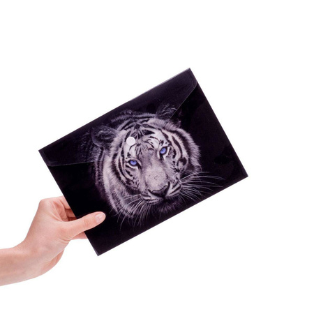 Teczka kopertowa na zatrzask Panta Plast Tiger A5