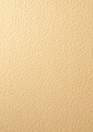 Papier wizytówkowy A4 ecru baranek 246g W60 Kreska