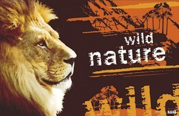 Mata na biurko dla dzieci Lew mała dwustronna Panta Plast