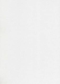 Papier wizytówkowy A4 biały płótno 185g W17 Kreska