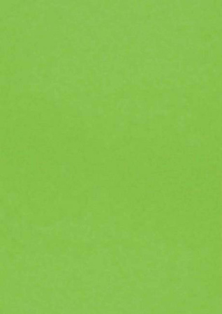 Papier wizytówkowy A4 zielony gładki 220g W40 Kreska