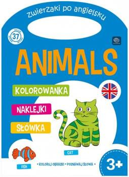 Kolorowanka z naklejkami dla dzieci angielski Interdruk