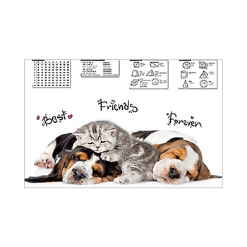 Teczka kopertowa na zatrzask Panta Plast Animals A5