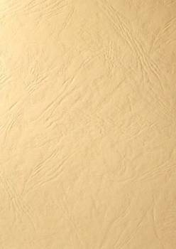 Papier wizytówkowy A4 ecru skórka 246g W63 Kreska