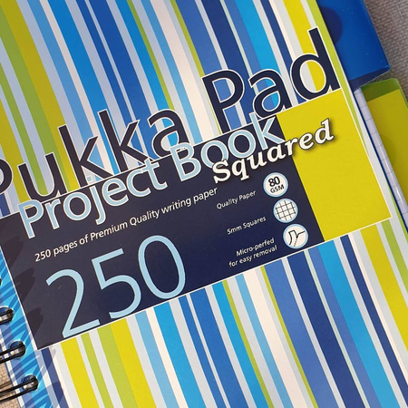 Kołozeszyt A5 w kratkę 250 stron Pukka Pad Project Book Stripes